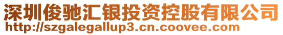 深圳俊馳匯銀投資控股有限公司