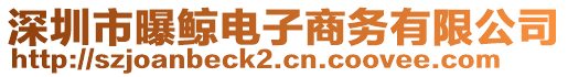 深圳市曝鯨電子商務(wù)有限公司