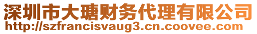 深圳市大瑭財務(wù)代理有限公司