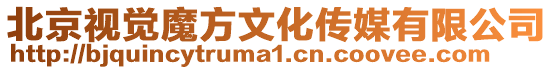 北京視覺魔方文化傳媒有限公司