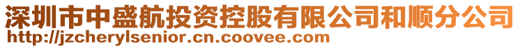 深圳市中盛航投資控股有限公司和順分公司