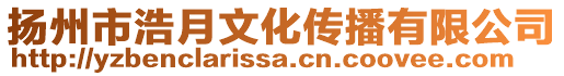 揚(yáng)州市浩月文化傳播有限公司