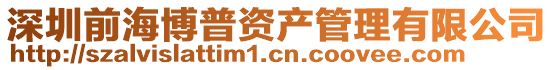 深圳前海博普資產(chǎn)管理有限公司