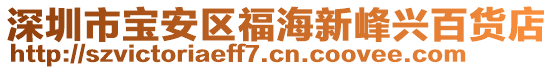 深圳市寶安區(qū)福海新峰興百貨店