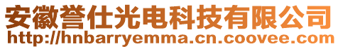 安徽譽仕光電科技有限公司