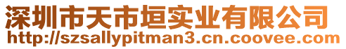 深圳市天市垣實業有限公司