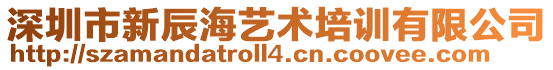 深圳市新辰海藝術(shù)培訓(xùn)有限公司