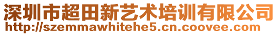 深圳市超田新藝術培訓有限公司