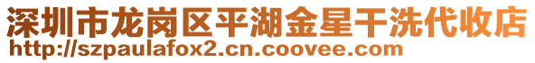 深圳市龍崗區(qū)平湖金星干洗代收店