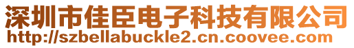 深圳市佳臣電子科技有限公司