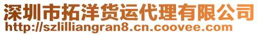 深圳市拓洋貨運代理有限公司