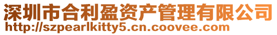 深圳市合利盈資產(chǎn)管理有限公司