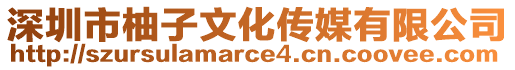 深圳市柚子文化傳媒有限公司