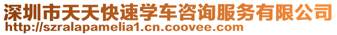 深圳市天天快速學車咨詢服務有限公司
