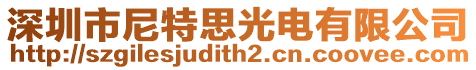 深圳市尼特思光電有限公司