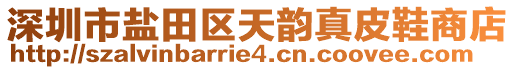 深圳市鹽田區(qū)天韻真皮鞋商店