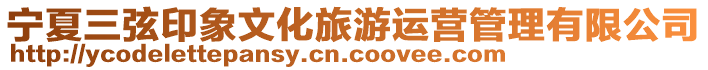 寧夏三弦印象文化旅游運(yùn)營(yíng)管理有限公司