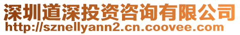 深圳道深投資咨詢有限公司