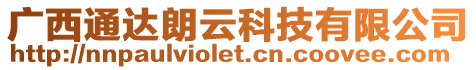 廣西通達(dá)朗云科技有限公司