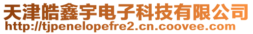 天津皓鑫宇電子科技有限公司