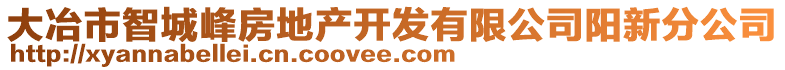 大冶市智城峰房地產開發有限公司陽新分公司
