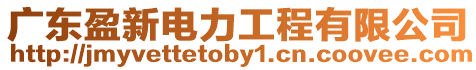 廣東盈新電力工程有限公司