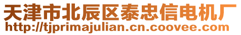 天津市北辰區(qū)泰忠信電機廠