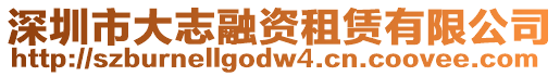 深圳市大志融資租賃有限公司