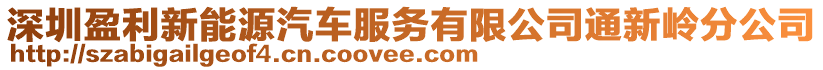 深圳盈利新能源汽車服務有限公司通新嶺分公司