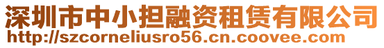深圳市中小擔融資租賃有限公司