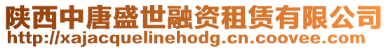 陜西中唐盛世融資租賃有限公司