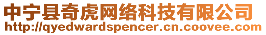 中寧縣奇虎網絡科技有限公司