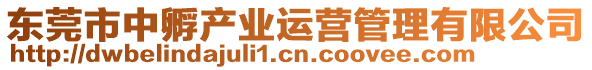 東莞市中孵產(chǎn)業(yè)運(yùn)營管理有限公司