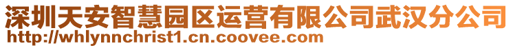 深圳天安智慧園區運營有限公司武漢分公司