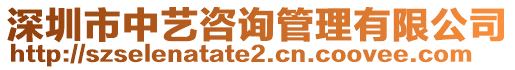 深圳市中藝咨詢管理有限公司