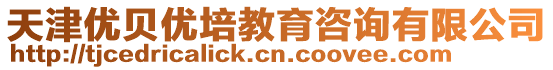 天津優(yōu)貝優(yōu)培教育咨詢有限公司