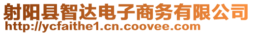 射陽縣智達(dá)電子商務(wù)有限公司