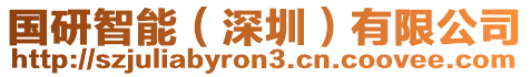 國(guó)研智能（深圳）有限公司