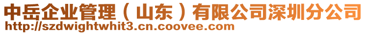 中岳企業管理(山東)有限公司深圳分公司