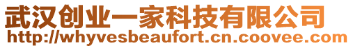 武漢創(chuàng)業(yè)一家科技有限公司