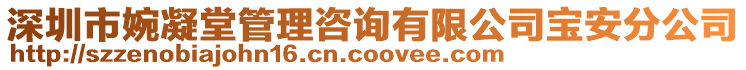 深圳市婉凝堂管理咨詢有限公司寶安分公司