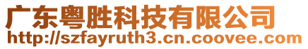 廣東粵勝科技有限公司