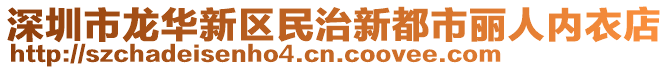 深圳市龍華新區(qū)民治新都市麗人內(nèi)衣店