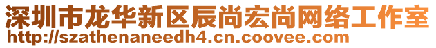 深圳市龍華新區(qū)辰尚宏尚網(wǎng)絡(luò)工作室