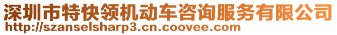 深圳市特快領機動車咨詢服務有限公司