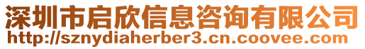 深圳市啟欣信息咨詢有限公司