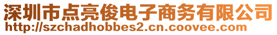 深圳市點(diǎn)亮俊電子商務(wù)有限公司