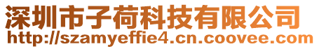 深圳市子荷科技有限公司