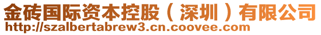 金磚國際資本控股（深圳）有限公司