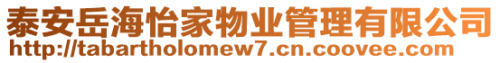 泰安岳海怡家物業(yè)管理有限公司